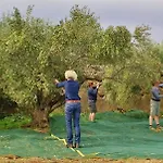 Olea Maison d'hôtes 4*
