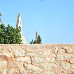 Olea