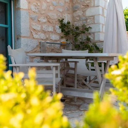 Olea Pyrgos Dirou