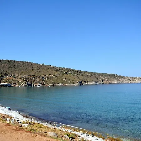 Guest house Olea 4*