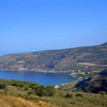 Olea Pyrgos Dirou